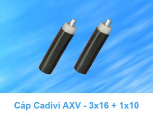 Cáp Nhôm CADIVI AXV 3x16 + 1x10mm2, AXV 3x25 + 1x16mm2 0.6/1kV