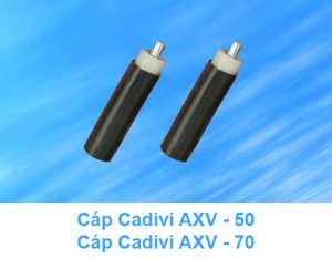 Cáp Nhôm CADIVI AXV - 50mm2, AXV - 70mm2 0.6/1kV - Cáp Hạ Thế CADIVI