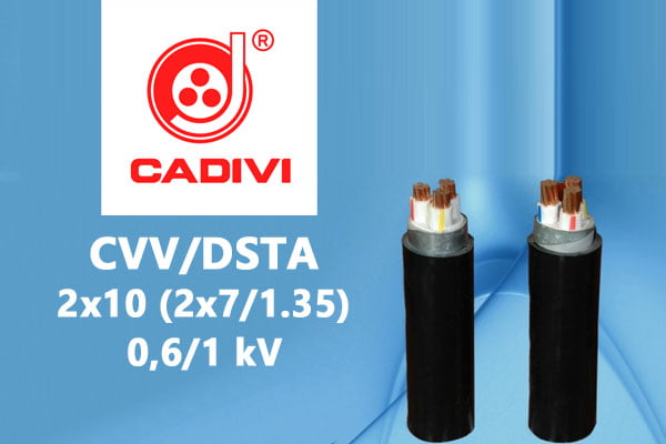Cáp Ngầm Hạ Thế CVV/DSTA 2x10 (2x7/1.35) - 0,6/1 kV - Giáp Băng Thép
