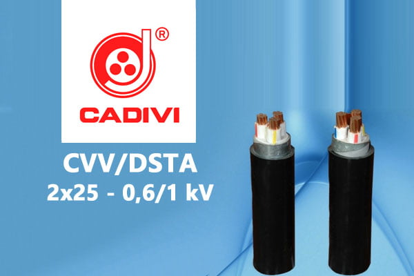 Cáp Ngầm Hạ Thế CVV/DSTA 2x25 - 0,6/1 kV - Giáp Băng Thép