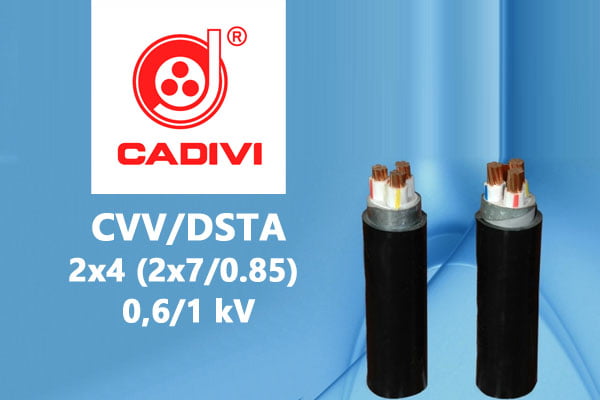 Cáp Ngầm Hạ Thế CVV/DSTA 2x4 (2x7/0.85) - 0,6/1 kV - Giáp Băng Thép