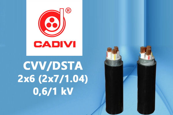 Cáp Ngầm Hạ Thế CVV/DSTA 2x6 (2x7/1.04) - 0,6/1 kV - Giáp Băng Thép