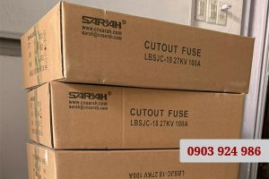 Báo Giá: LBFCO Polymer Sarah - Cầu Chì Tự Rơi Cắt Có Tải 27kV 100A